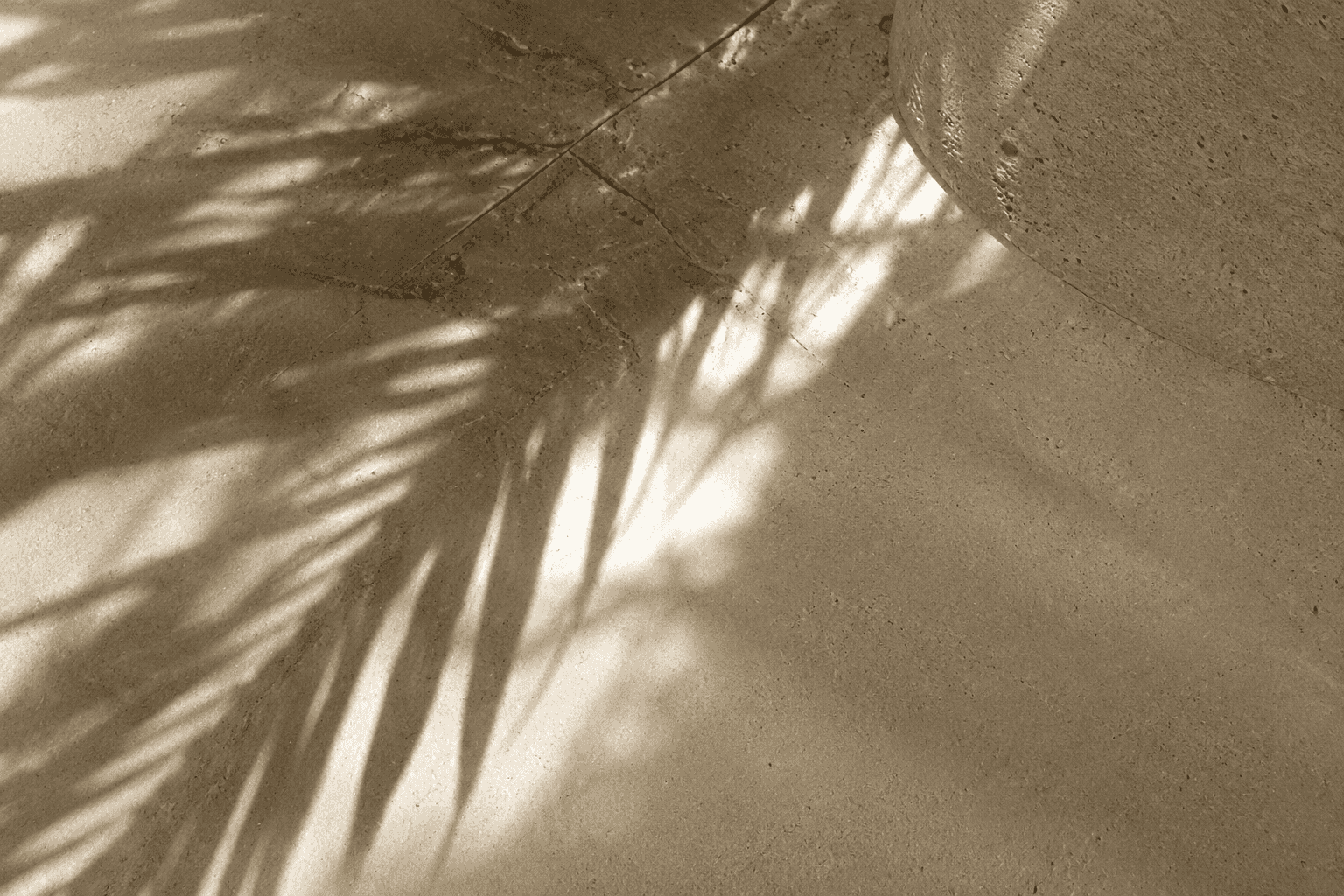 The shadow of a palm frond falling across sunlit stone, evoking the play of tropical light and heat.