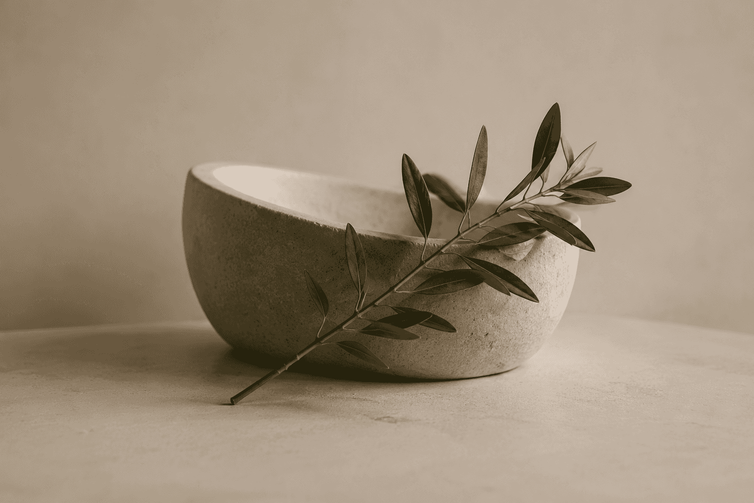 A pale stone bowl with a single olive branch laid across it, photographed in soft warm light.
