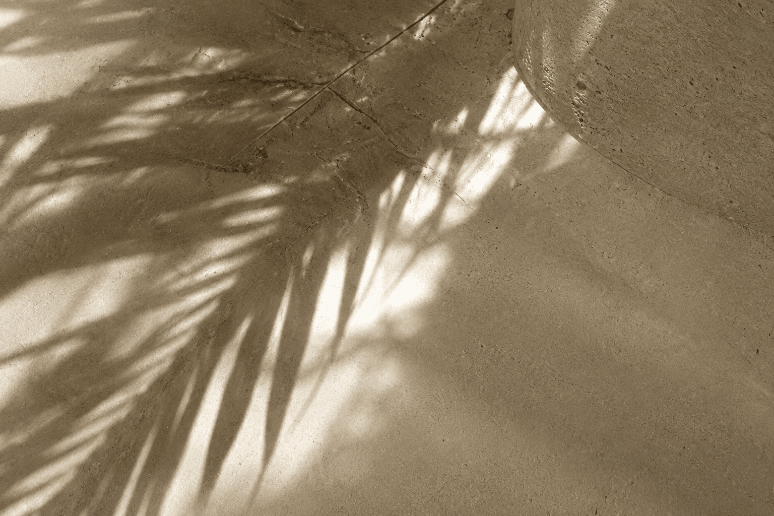 The shadow of a palm frond falling across sunlit stone, evoking the play of tropical light and heat.