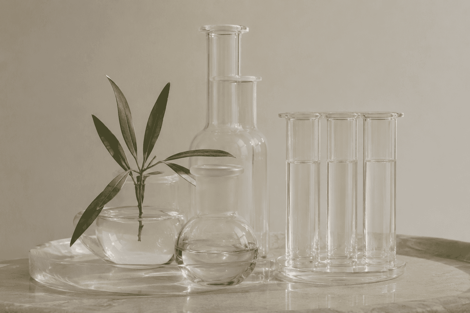 A row of glass laboratory vials, a flask and a beaker holding clear liquid, alongside a single olive leaf.