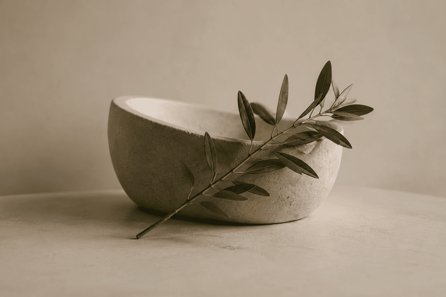 A pale stone bowl with a single olive branch laid across it, photographed in soft warm light.